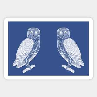 Barn Owls in Love - animal lovers design Magnet